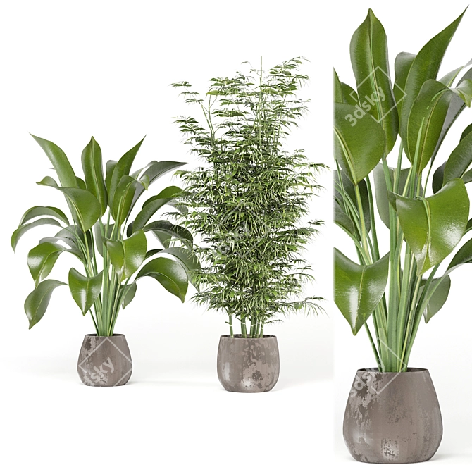 Ferm Living Bau Pot Large - Set 141: Indoor Plants for Modern Interiors 3D model image 2