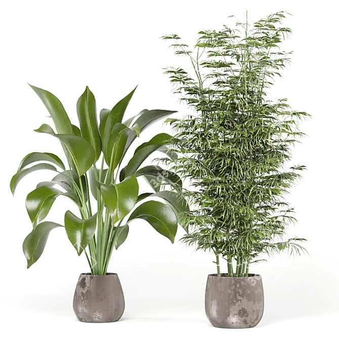 Ferm Living Bau Pot Large - Set 141: Indoor Plants for Modern Interiors 3D model image 3