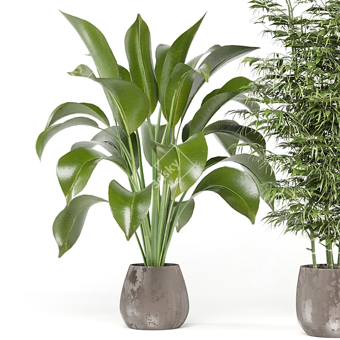 Ferm Living Bau Pot Large - Set 141: Indoor Plants for Modern Interiors 3D model image 4