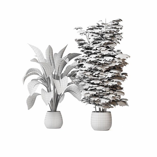 Ferm Living Bau Pot Large - Set 141: Indoor Plants for Modern Interiors 3D model image 5