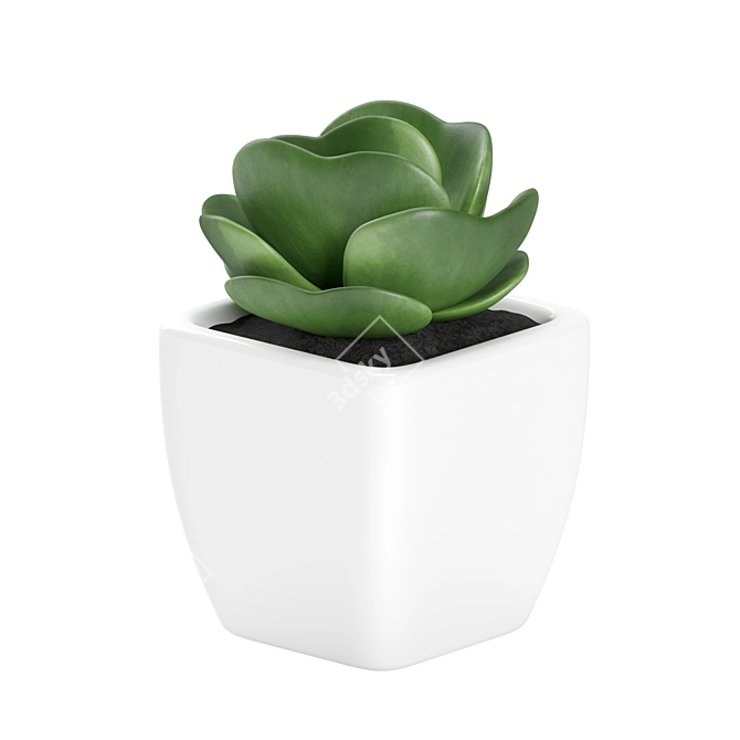 Small White Pot Plant: 2015 Version 3D model image 1