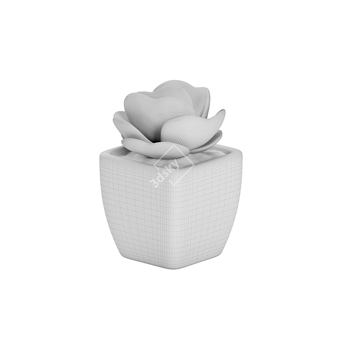 Small White Pot Plant: 2015 Version 3D model image 4