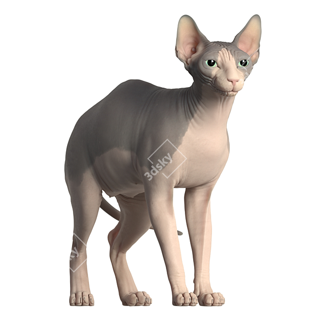 Elegant Sphynx Cat Sculpture 3D model image 1