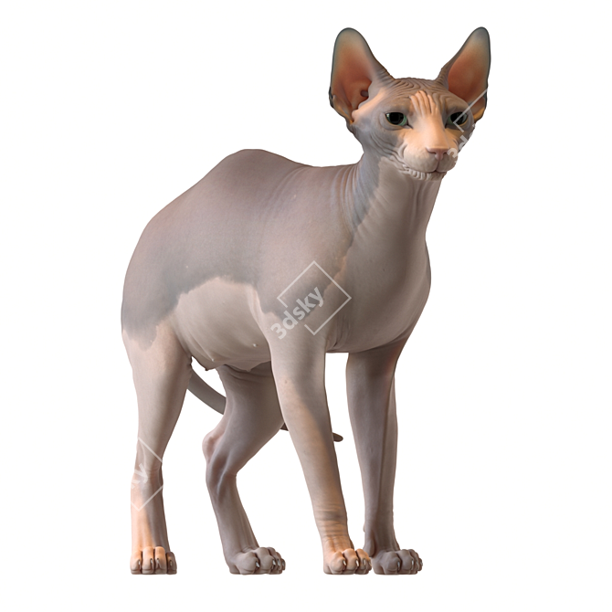 Elegant Sphynx Cat Sculpture 3D model image 2