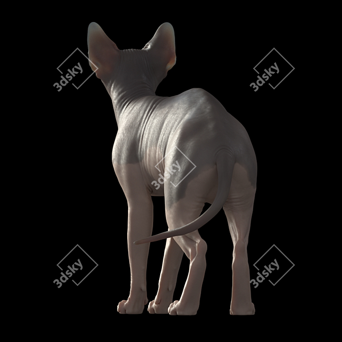 Elegant Sphynx Cat Sculpture 3D model image 3