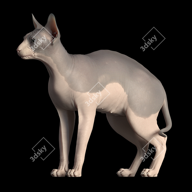 Elegant Sphynx Cat Sculpture 3D model image 4