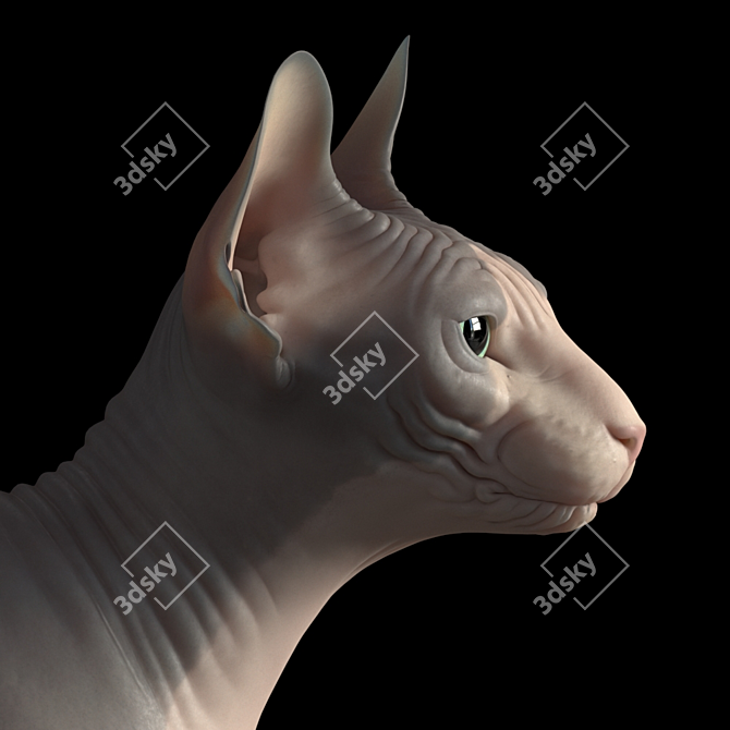 Elegant Sphynx Cat Sculpture 3D model image 6