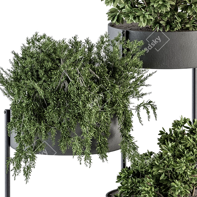 Green Oasis - Indoor Plant Set 3D model image 2