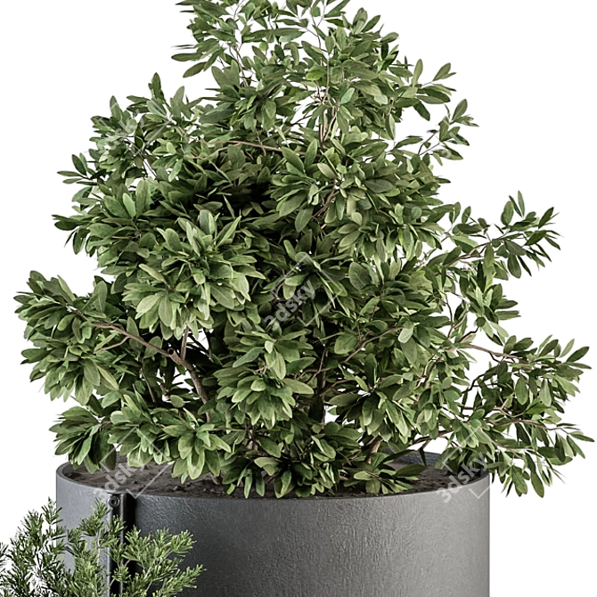 Green Oasis - Indoor Plant Set 3D model image 4