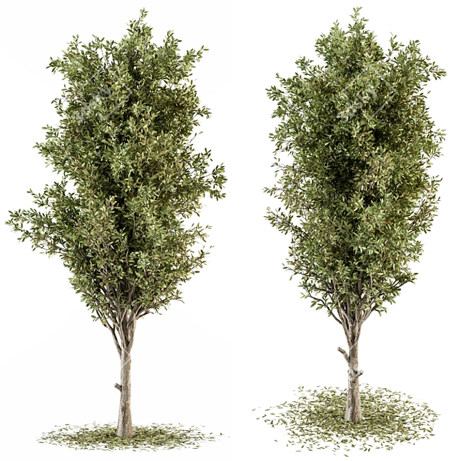 Tree Green Broadleaf Set 60 3D model image 1