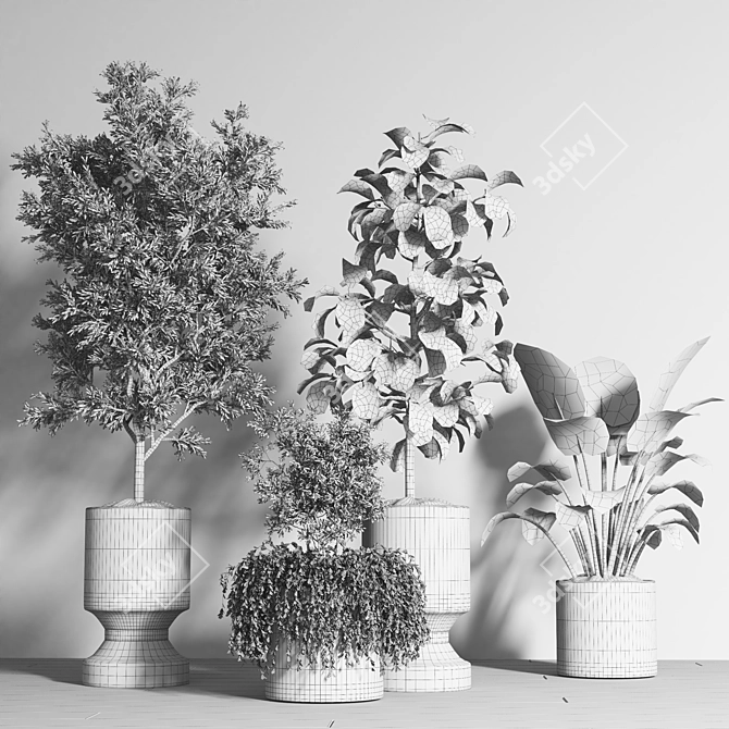 Premium Plant Collection 08 3D model image 4