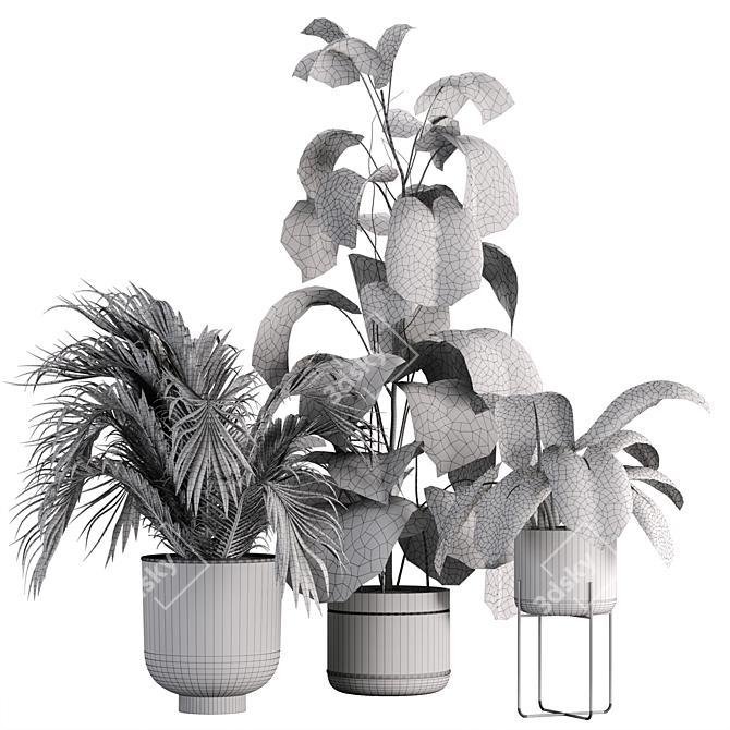 Green Oasis Indoor Plant Set 3D model image 5