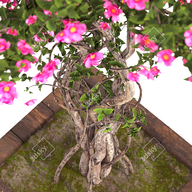 Thriving Spring Trio: 3D Plants 3D model image 2