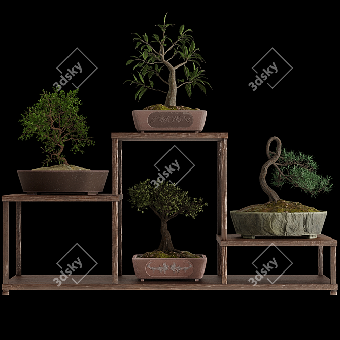 Pristine Bonsai Set: 4 Tree Types 3D model image 2