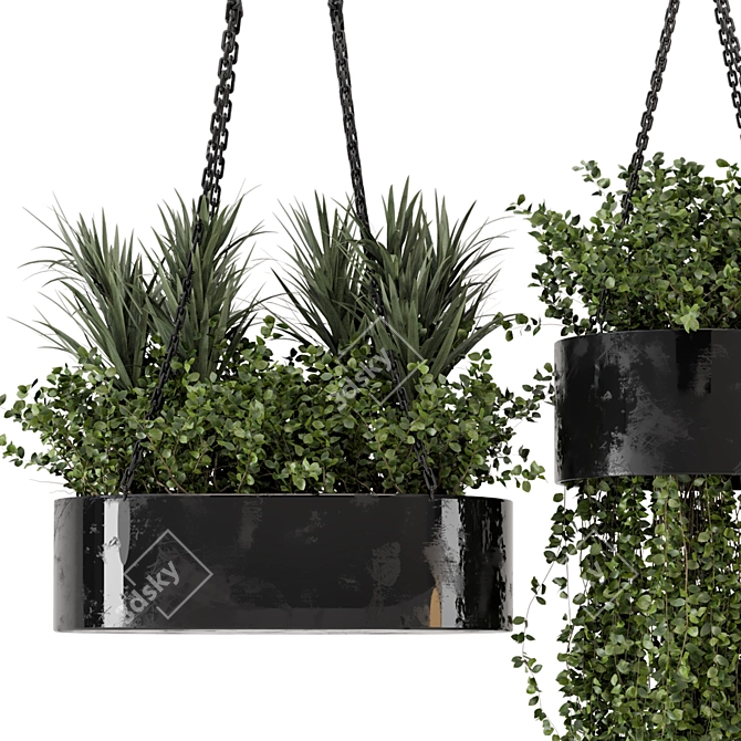 Indoor Hanging Plants Set in Metal Box 3D model image 4