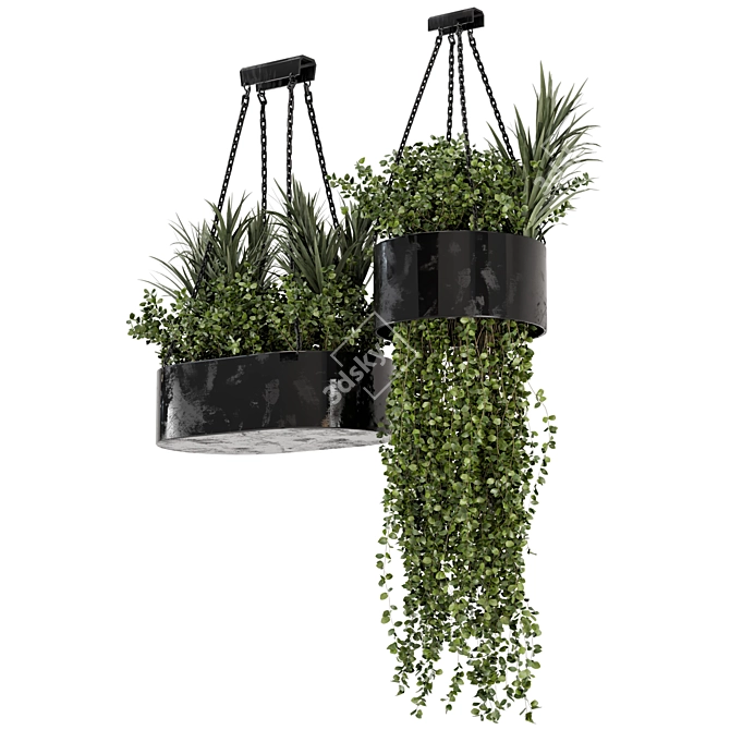 Indoor Hanging Plants Set in Metal Box 3D model image 6