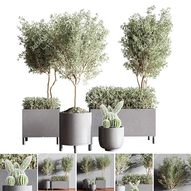 Premium Indoor Plant Set 3D model image 1