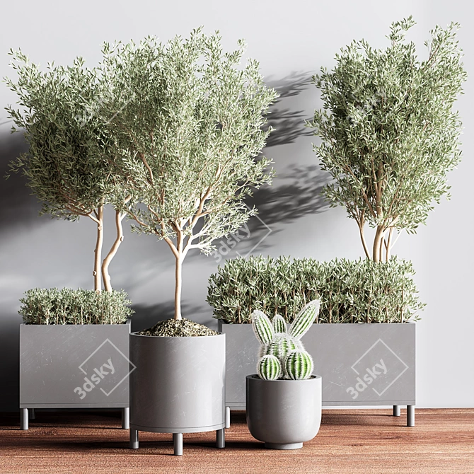 Premium Indoor Plant Set 3D model image 2