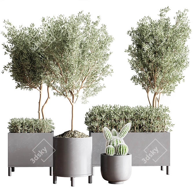 Premium Indoor Plant Set 3D model image 8