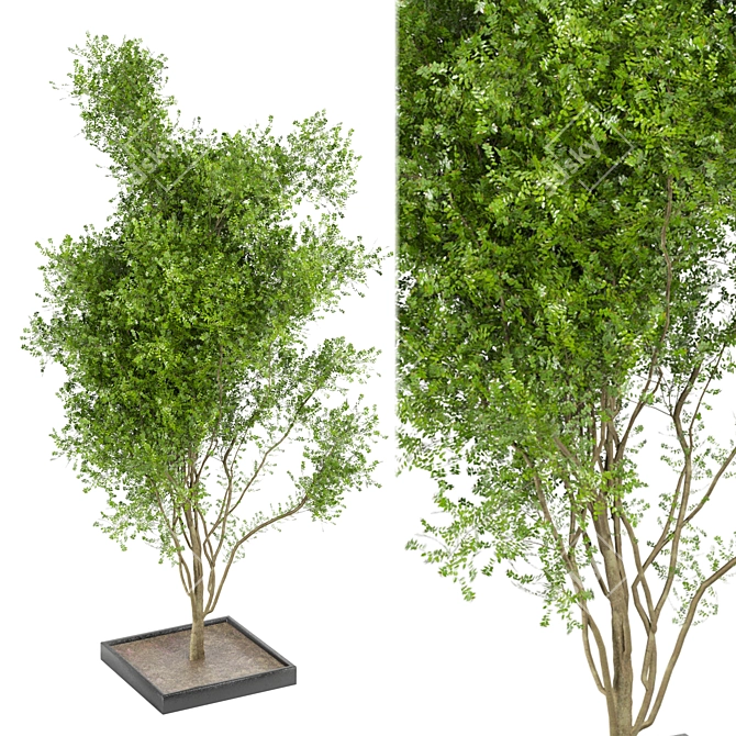 Bountiful Outdoor Plant Collection 3D model image 2