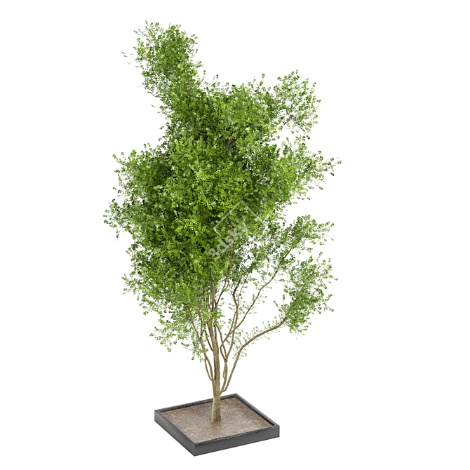 Bountiful Outdoor Plant Collection 3D model image 6