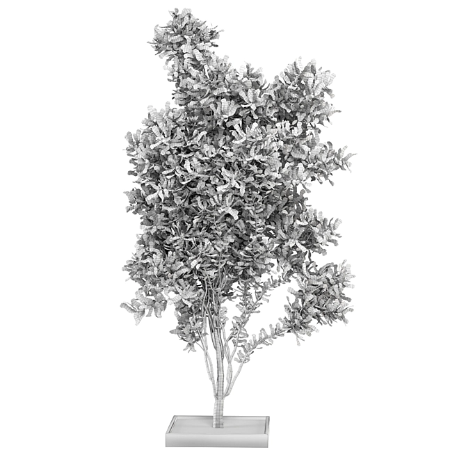 Bountiful Outdoor Plant Collection 3D model image 7