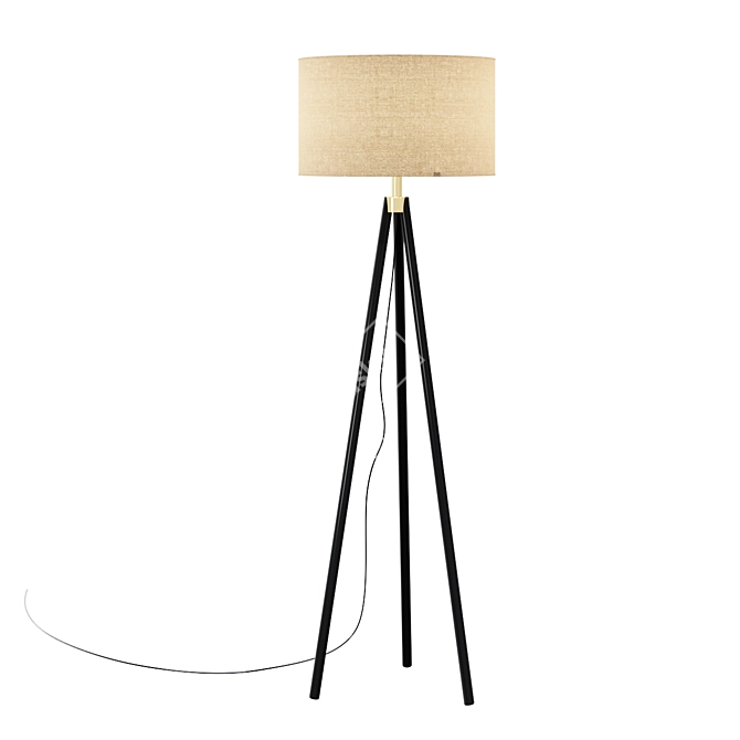 Hyde Brass & Bronze Tripod Floor Lamp 3D model image 1