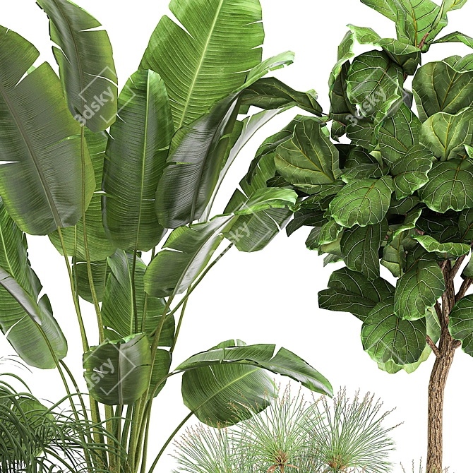 Tropical Oasis Plant Collection: Ficus, Palm, Cactus 3D model image 4