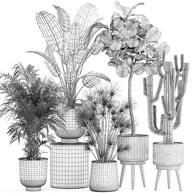 Tropical Oasis Plant Collection: Ficus, Palm, Cactus 3D model image 7
