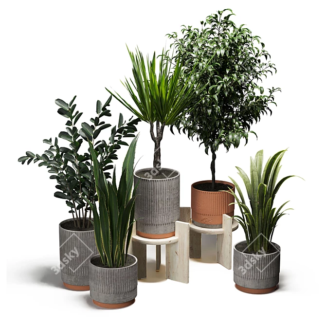  Green Oasis: Indoor Plants Set 3D model image 1