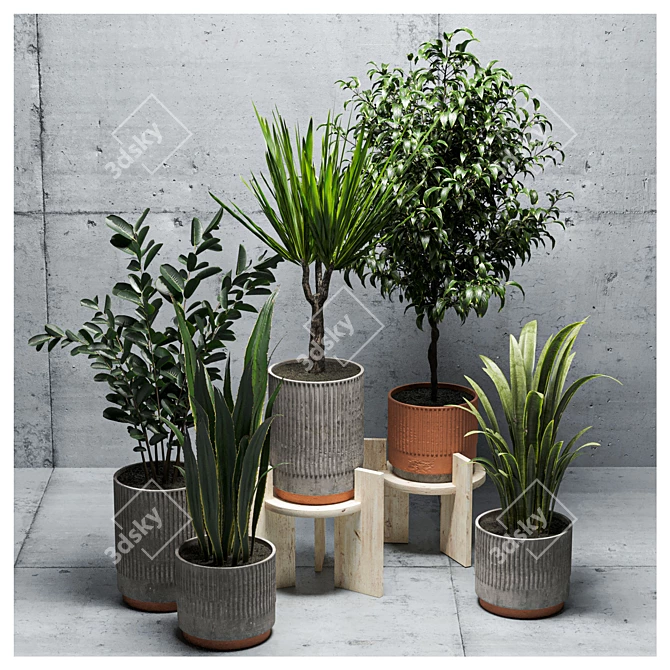  Green Oasis: Indoor Plants Set 3D model image 2