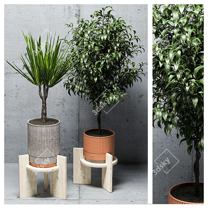  Green Oasis: Indoor Plants Set 3D model image 3