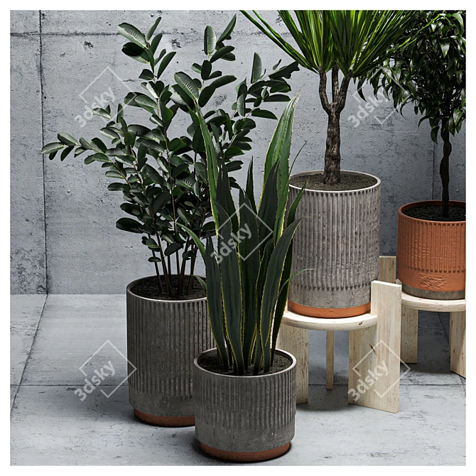  Green Oasis: Indoor Plants Set 3D model image 4