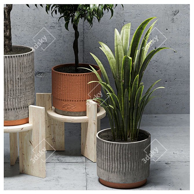  Green Oasis: Indoor Plants Set 3D model image 5