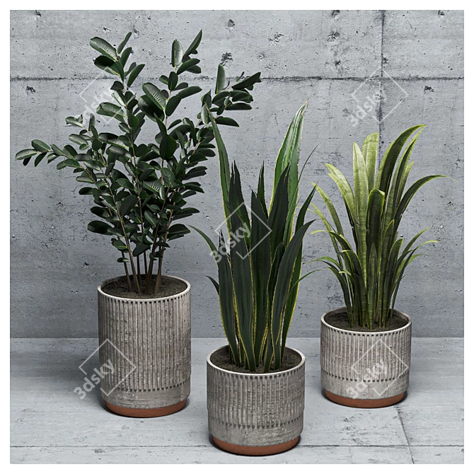  Green Oasis: Indoor Plants Set 3D model image 6