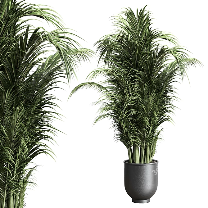 Concrete Palm Pot - Indoor Plant Vase 3D model image 1