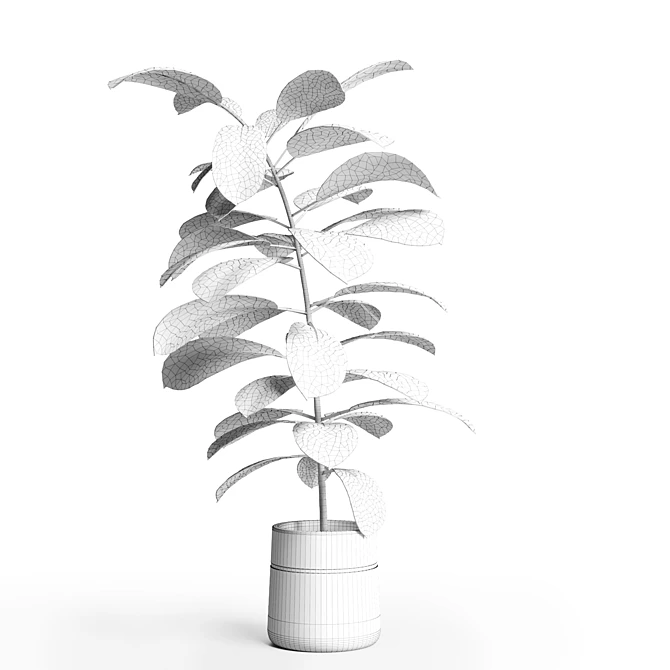 Ficus Rubbery Concrete Pot - 3Dmax Vray & Corona 3D model image 4