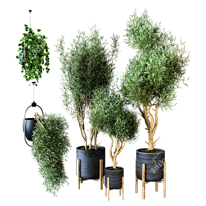 Indoor Plant Vol. 25 - Exquisite Greenery 3D model image 1