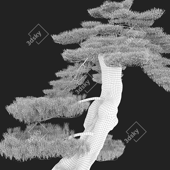 Exquisite Bonsai Tree: 1.2m Tall 3D model image 4