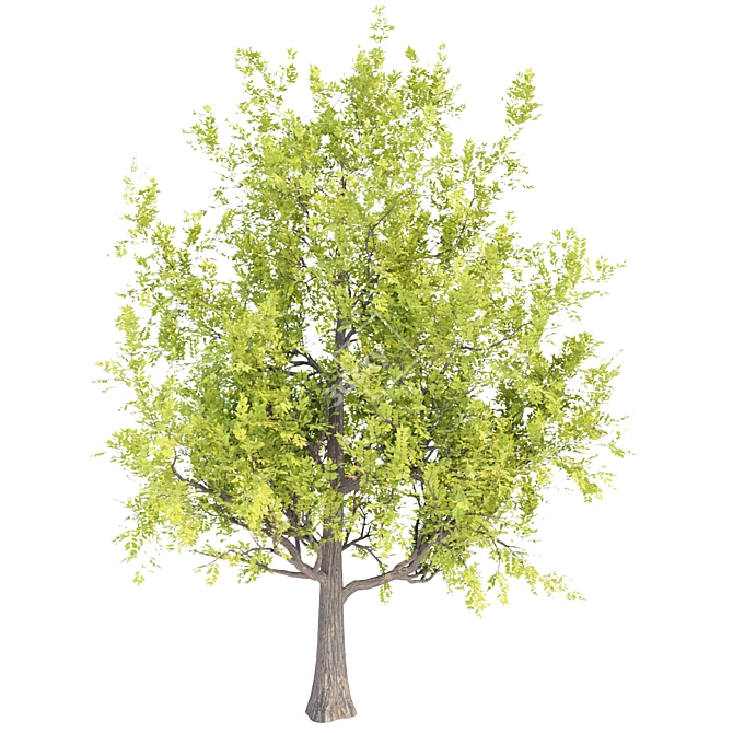 PBR Trees Vol. 14 - Two Stunning Models 3D model image 4