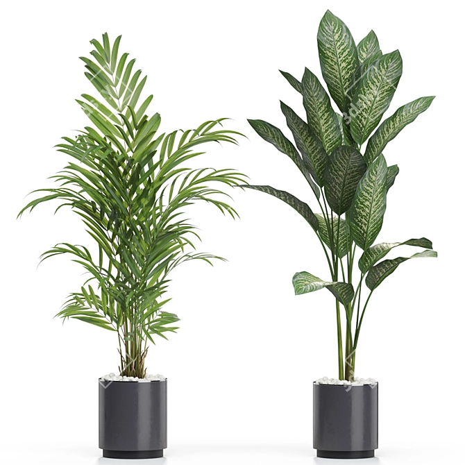 Exquisite Plant Collection 613 3D model image 3