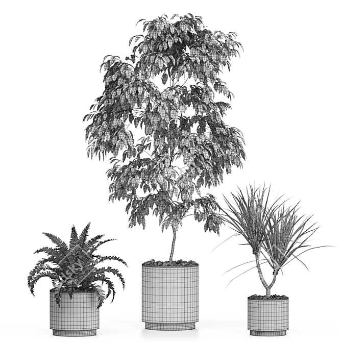 Exquisite Plant Collection 613 3D model image 4