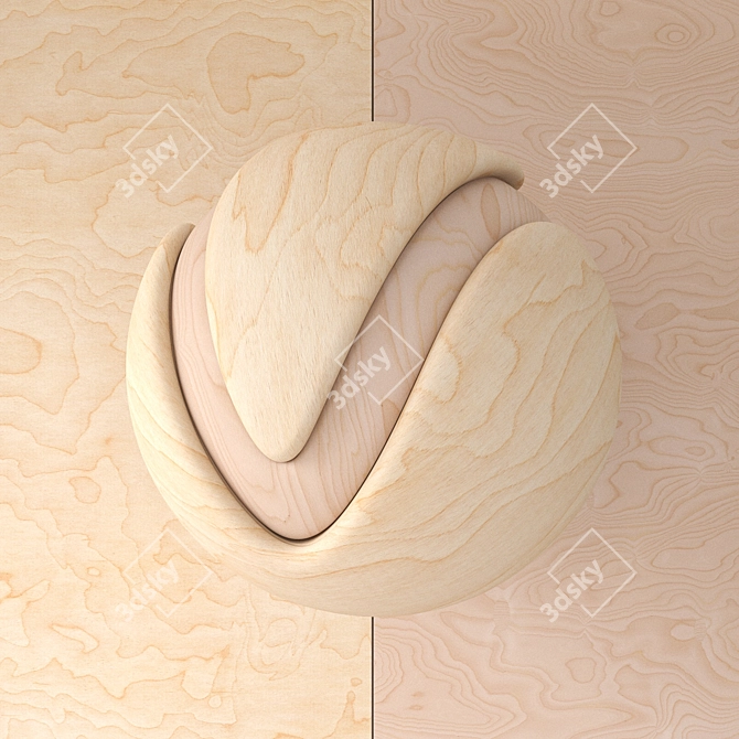 Plywood Texture Bundle - 4 Sheets 3D model image 1