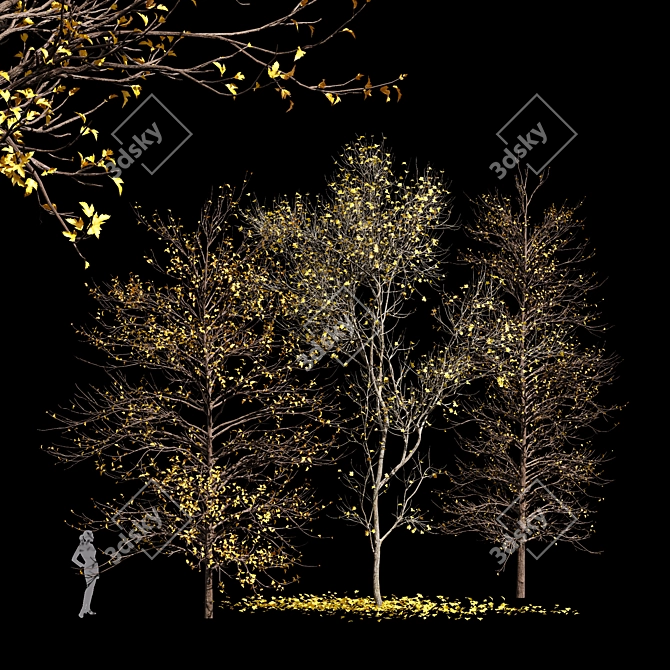Winter Snow Real Tree - Small Acer Saccharinum 3D model image 1