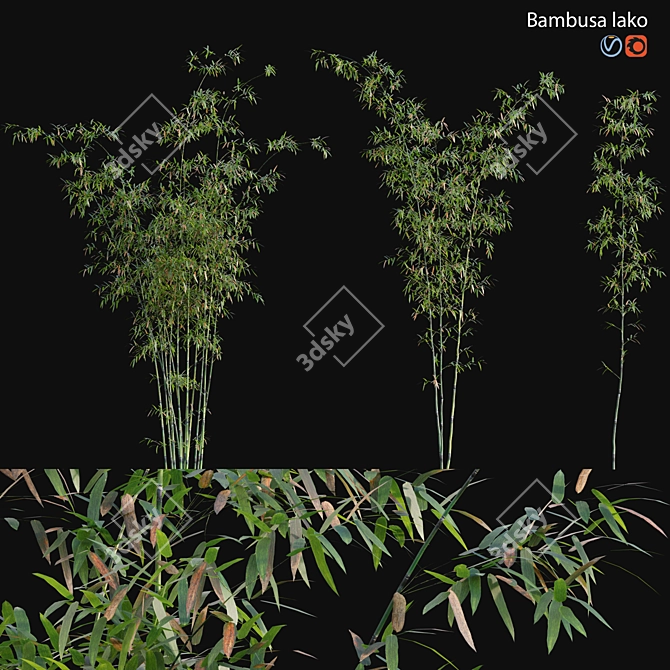 Bamboo 3D Models - Variety of Formats and Textures 3D model image 1