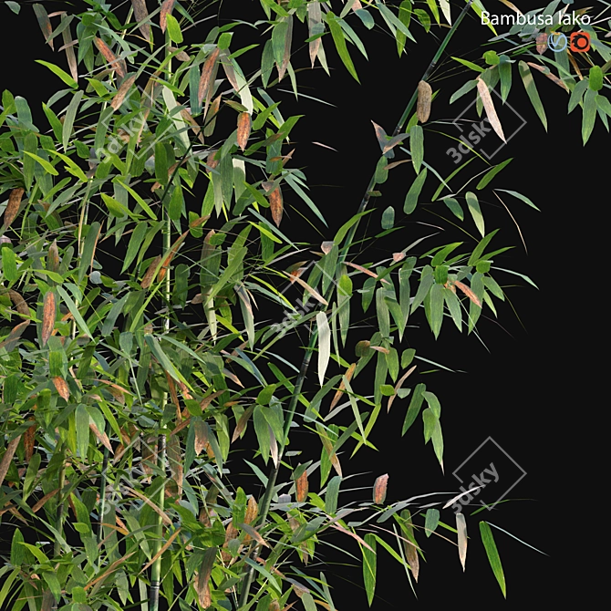 Bamboo 3D Models - Variety of Formats and Textures 3D model image 5