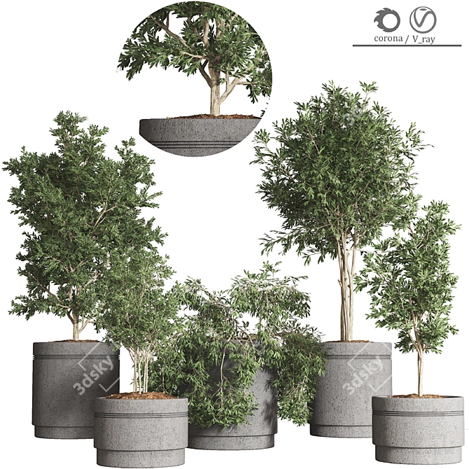 Indoor Plant Collection: 10 Varieties 3D model image 2