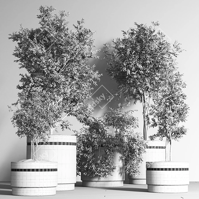 Indoor Plant Collection: 10 Varieties 3D model image 6