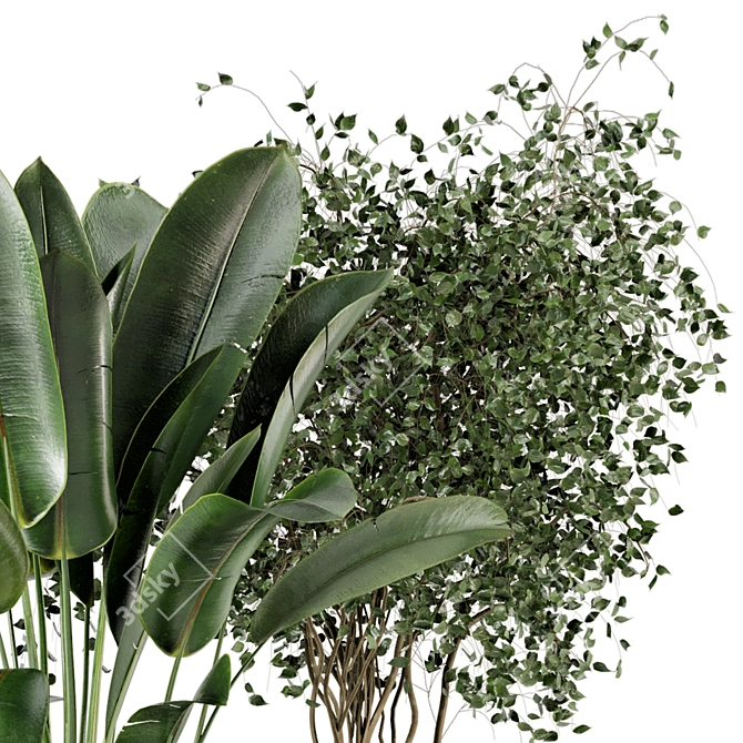 Elegant Cecilia Ficonstone Indoor Planters 3D model image 3