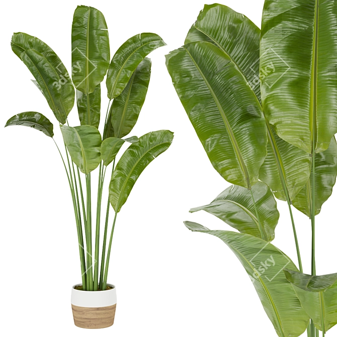 Tropical Bliss: Indoor Banana Leaf 3D model image 3